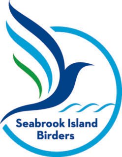 Seabrook Island Birders