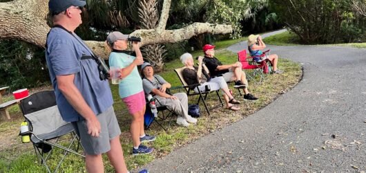Join SIB:  Sit, Sip, and See – Palmetto Lake