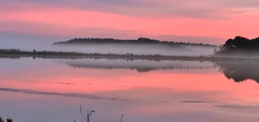 Join SIB – Beyond our Backyard-Bear Island and Donnelly WMA