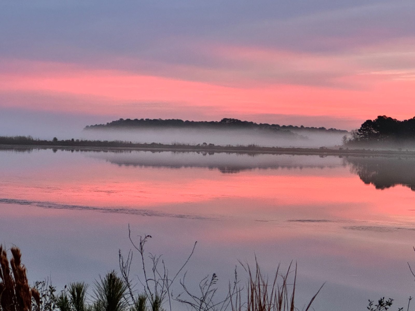 Join SIB – Beyond our Backyard-Bear Island and Donnelly WMA