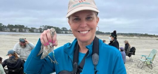 SIB Member Profile:  Deanna Forsythe