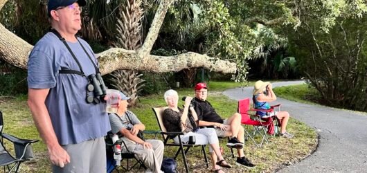 Join SIB: Sit, Sip and See at Palmetto Lake