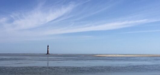 Join SIB: Beyond Our Backyard at Lighthouse Inlet