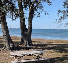 Join SIB Beyond Our Backyard – May Forest State Park