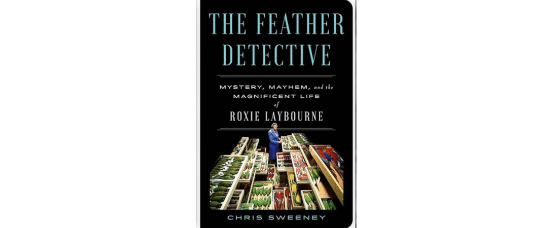 A Birds Eye View: The Feather Detective