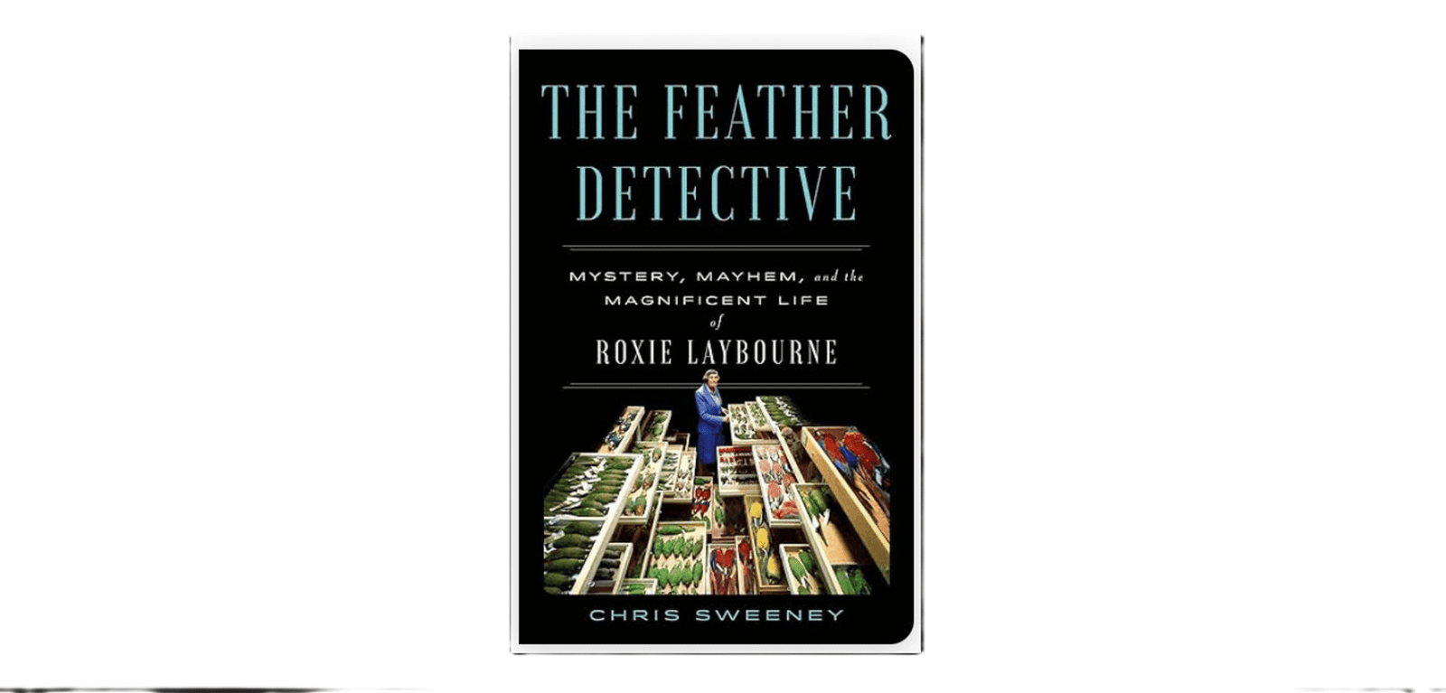 A Birds Eye View: The Feather Detective