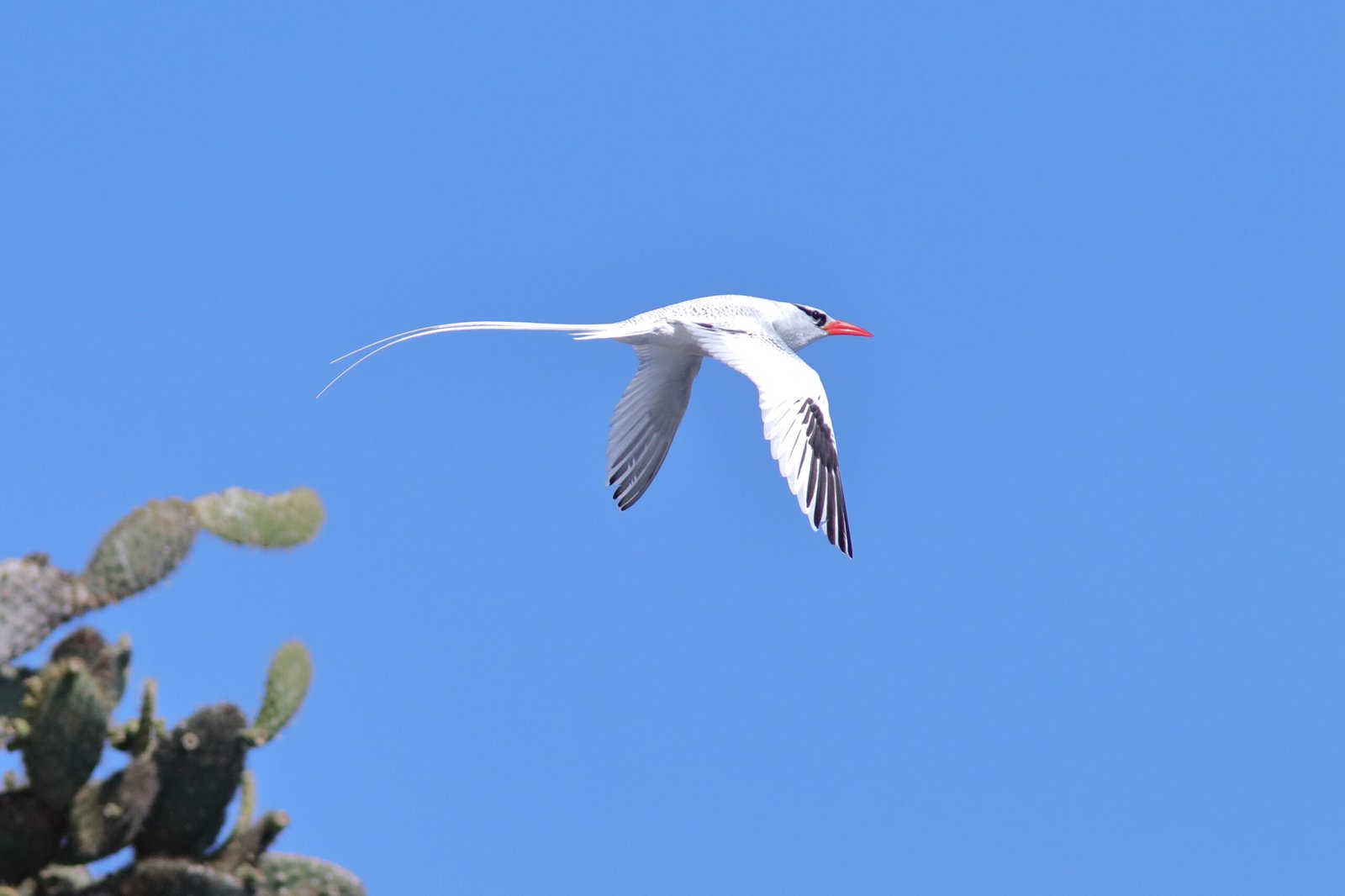 Galapagos Island Adventure – Part 5