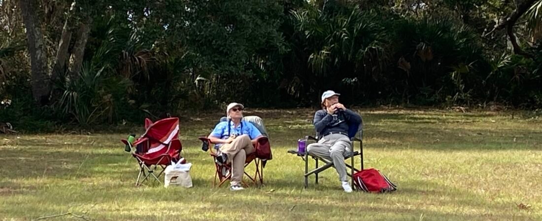 Join SIB: Beyond our Backyard – Hawk Watch at Botany Bay