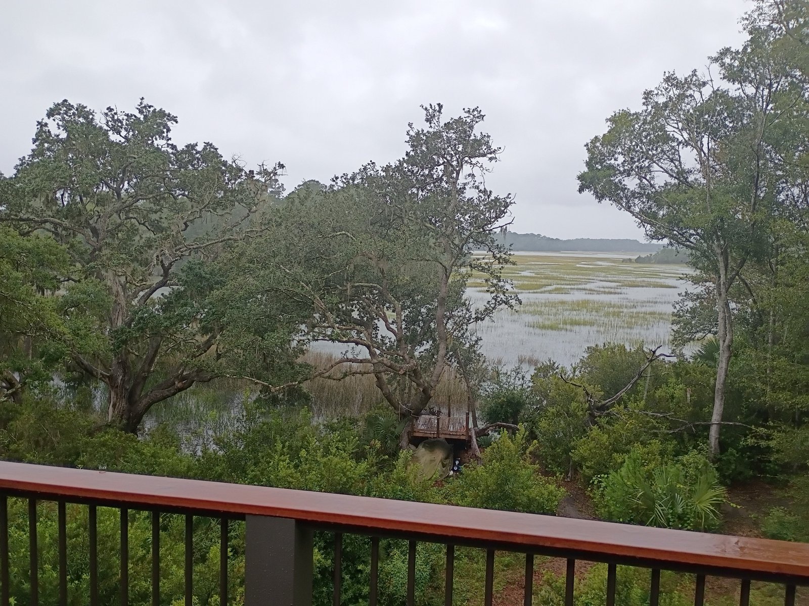 Join SIB – Backyard Birding off Betsy Kerrison Parkway