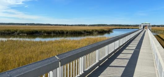 Join SIB – Beyond our Backyard – James Island County Park