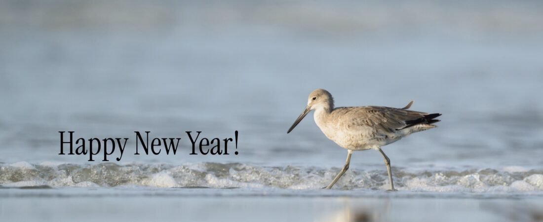 SIB Reports: 2026 Bird Challenge