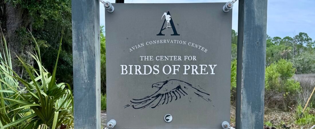 The Rewards of Volunteering at the Avian Conservation Center