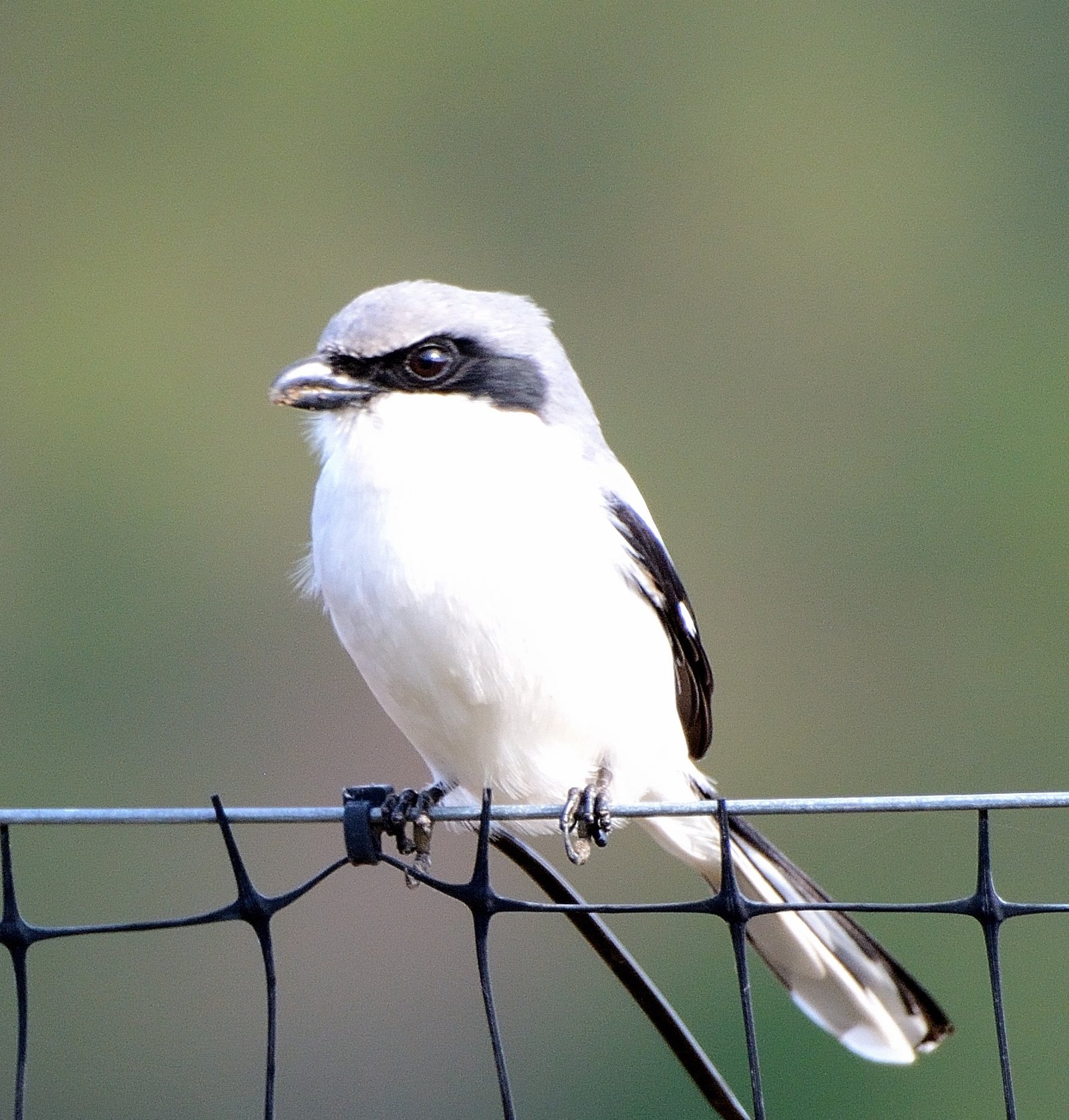 Join SIB: Beyond Our Backyards at Kiawah River