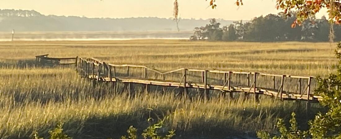 Join SIB: Beyond our Backyard – College of Charleston’s Stono Preserve