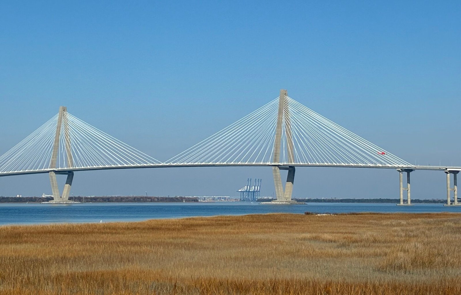 Join SIB:  Beyond our Backyard – Patriot’s Point Nature Trail