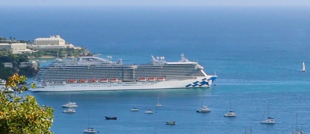 The Cruising Dilettante Birders