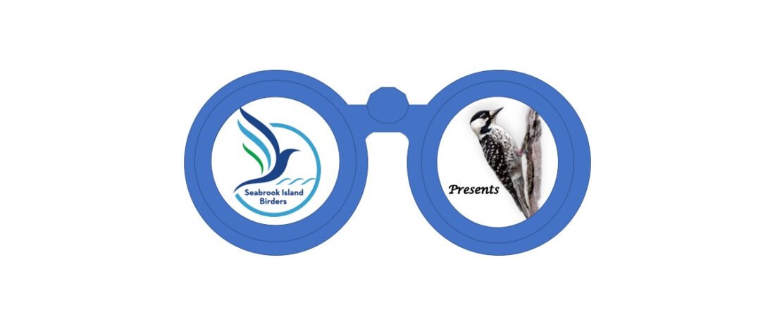 Seabrook Island Birders Presents April 23, 2026