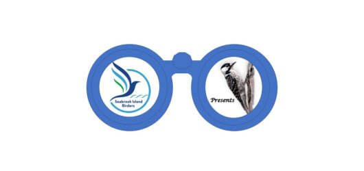 Seabrook Island Birders Presents April 23, 2026