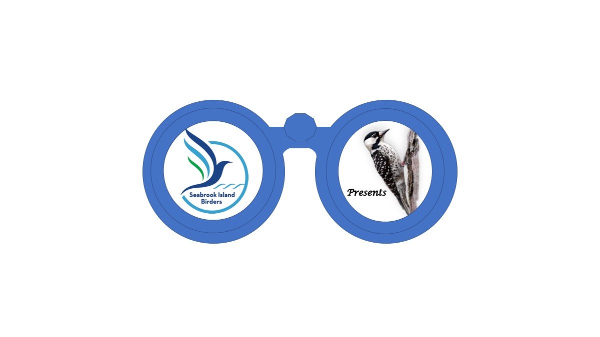 Seabrook Island Birders Presents
