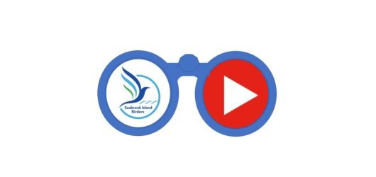 Seabrook Island Birders Presents
