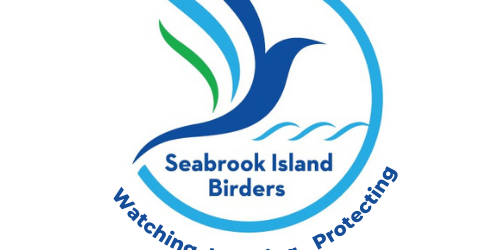 Seabrook Island Birders Spreads Its Wings
