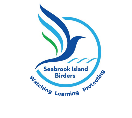 Seabrook Island Birders Spreads Its Wings