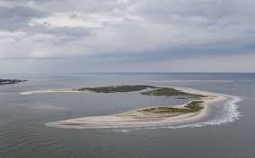 Seabrook Island Birders Focus on Deveaux