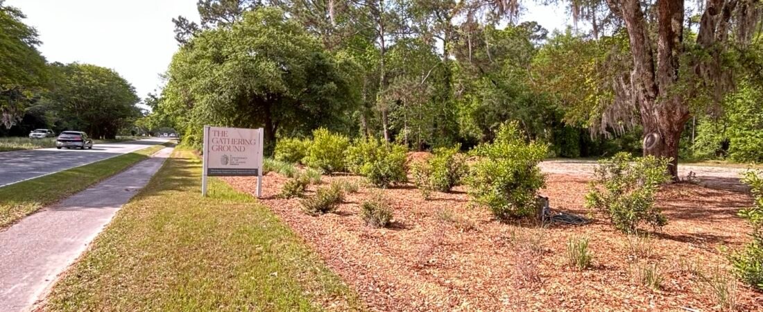 Beyond our Backyard:  Birding at The Gathering Ground