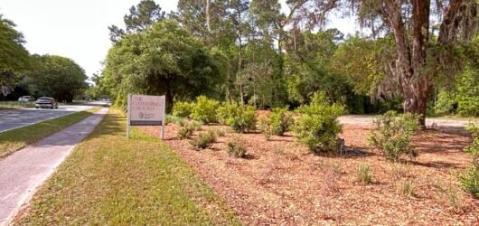 Beyond our Backyard:  Birding at The Gathering Ground