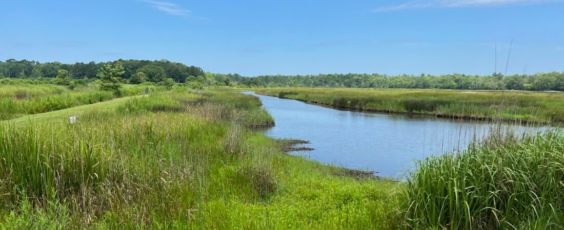 Join SIB – Beyond our Backyard – Caw Caw County Park