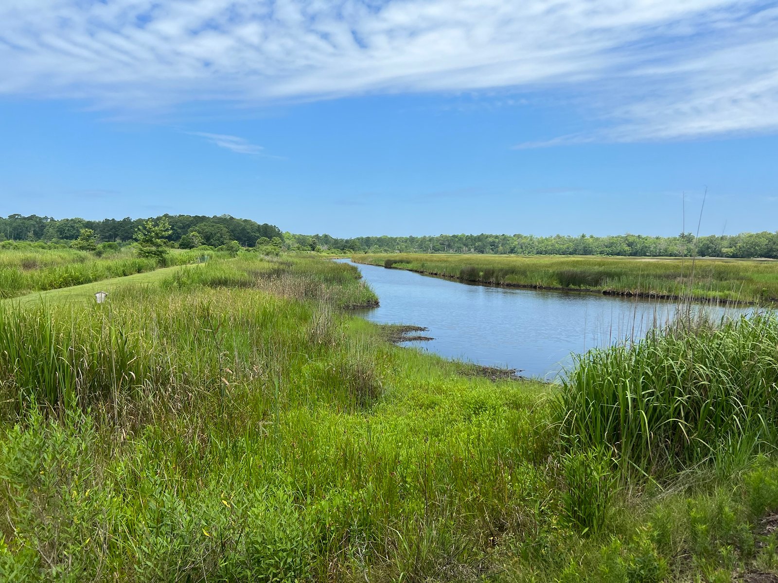 Join SIB – Beyond our Backyard – Caw Caw County Park