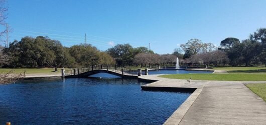 Beyond Our Backyard: Hampton Park and White Point Gardens