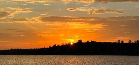 Summer Birding – Road Trips and Travel Ideas