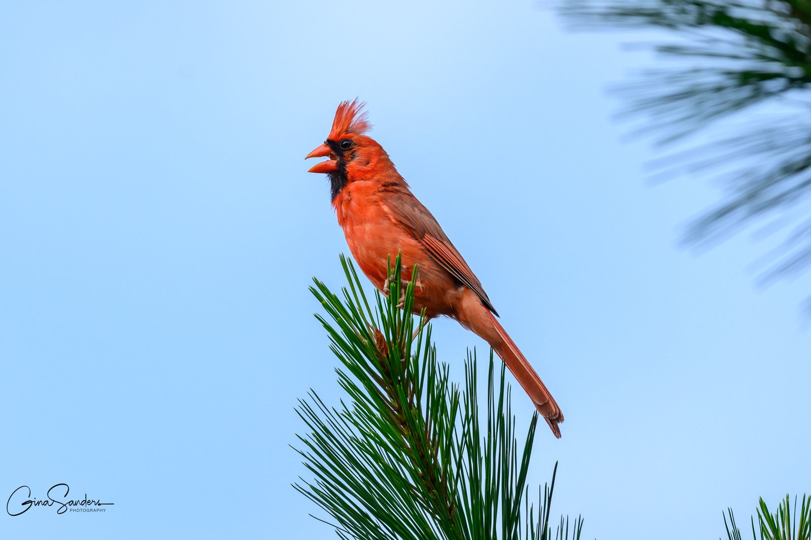 The Early Bird Gets the Worm