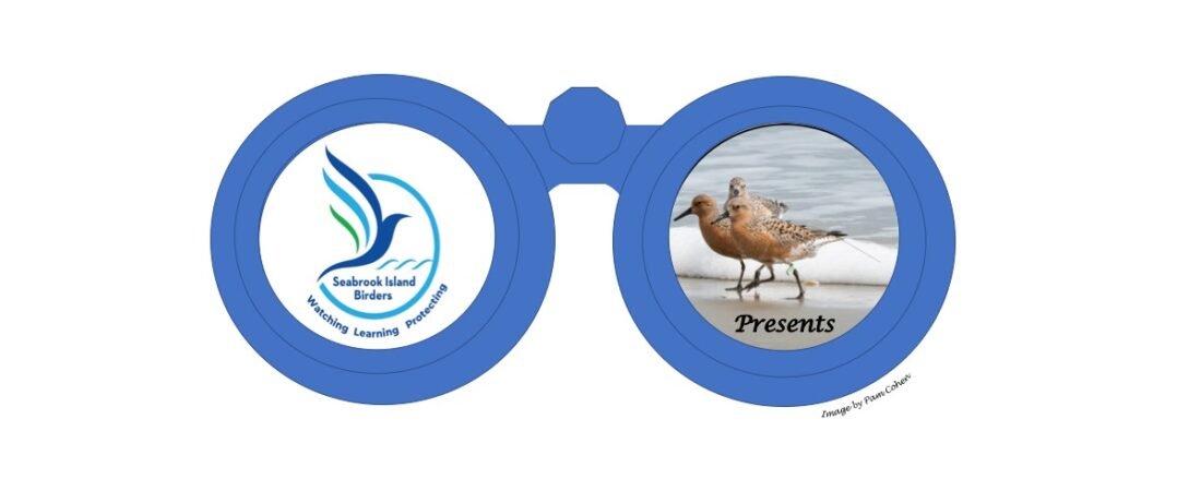 Seabrook Island Birders Presents