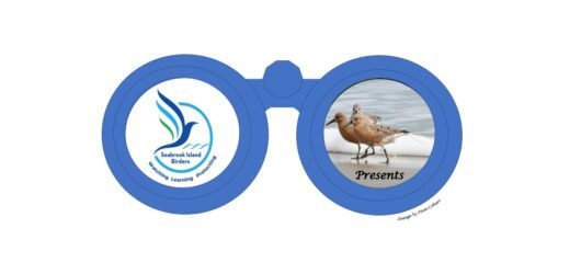 Seabrook Island Birders Presents