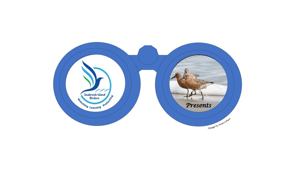Harnessing New Technology to improve our understanding of Avian ecology