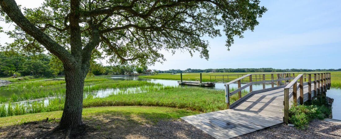 Slow Birding at the Boat Ramp / Crab Dock