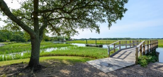 Slow Birding at the Boat Ramp / Crab Dock