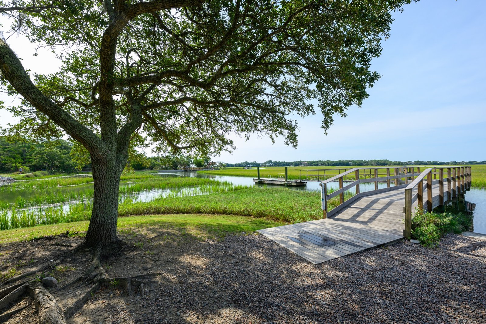Slow Birding at the Boat Ramp / Crab Dock