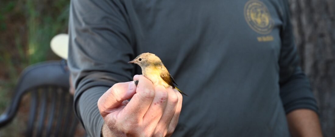 Visit the Kiawah Banding Station