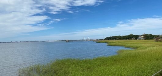 Join SIB at Ft. Moultrie/Pitt Street Bridge